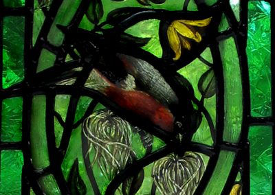 Birds and Clematis