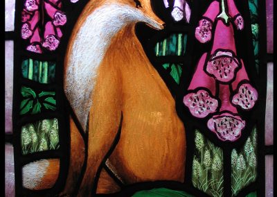 Fox in Foxgloves