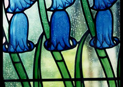 Bluebells