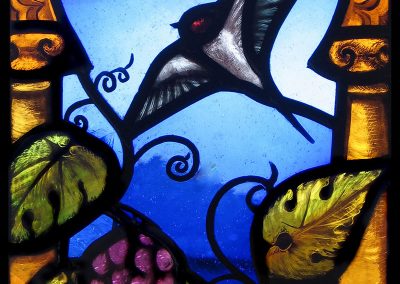 Swallows