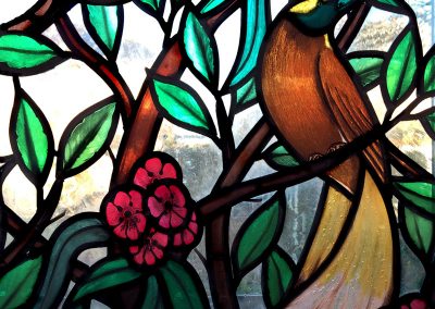Birds of Paradise 2017