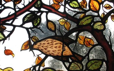 Autumn in the Air studio update